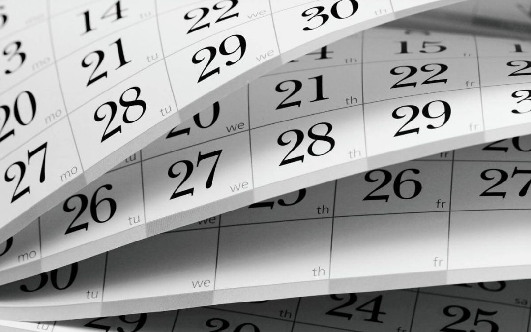 Collins’s 8 “Right Now” Business Tax Moves