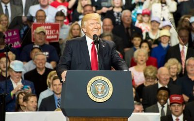 Business Taxes 2025 In Your North Georgia Business Under Trump